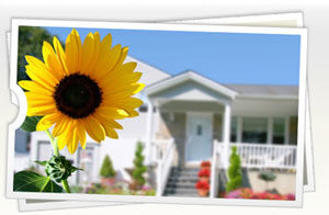 Picture of house with sunflower