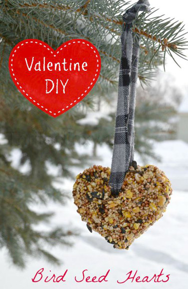 Bird Seed Heart Treat