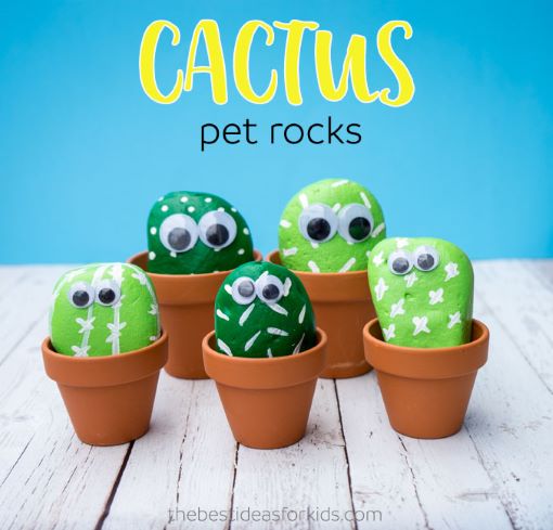 The Easiest Pet Rock To Make With the Kids